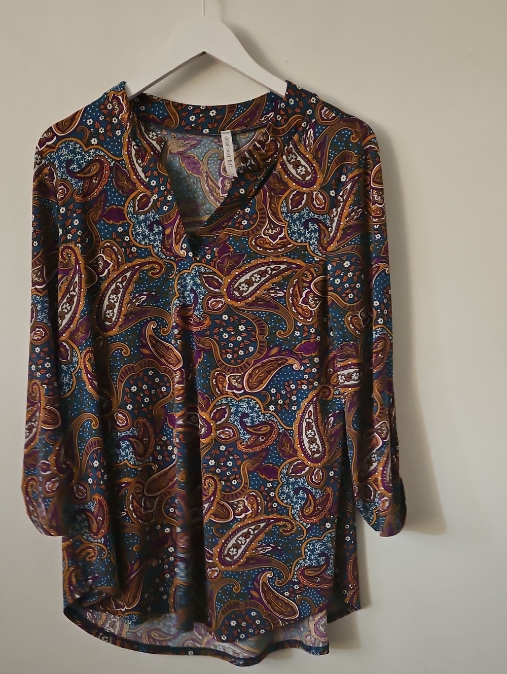 Drear Scarlett Long-Sleeve Paisley Tunic Top in Teal, Brown and Purple